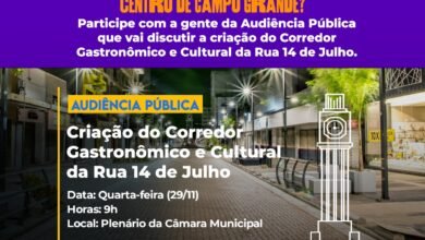 Audiência Pública convocada por Ronilço Guerreiro vai discutir Corredor Gastronômico, Turístico e Cultural da 14 de Julho