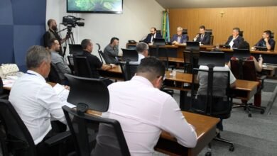 Comissão debate importância de legislação de proteção ao Pantanal