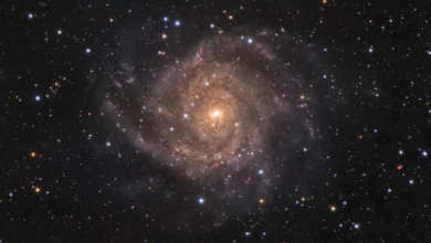 Destaque da NASA: IC 342, a Galáxia Oculta, é foto astronômica do dia