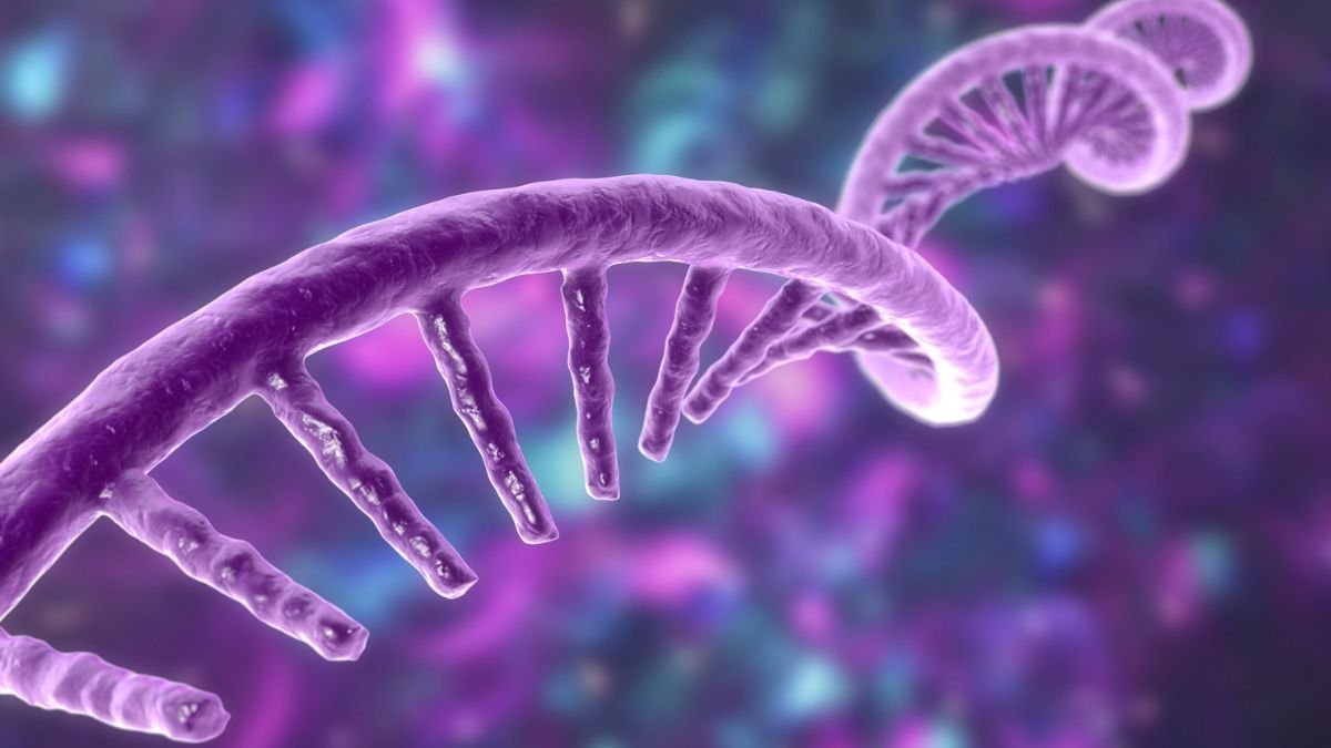 Experiência científica cria blocos de RNA da origem da vida na Terra