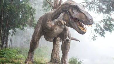 Quantos humanos um T. rex precisaria comer para se manter vivo?