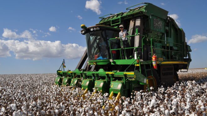 Agro brasileiro vai conquistar mais um pódio e com o dobro de produtividade dos EUA