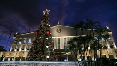 Árvore de Natal: conheça a história por trás da tradição