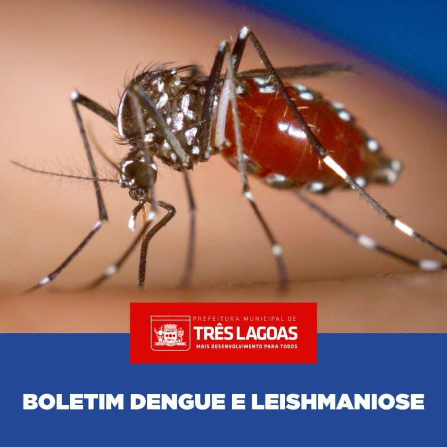 BOLETIM DENGUE – 05 de dezembro de 2023