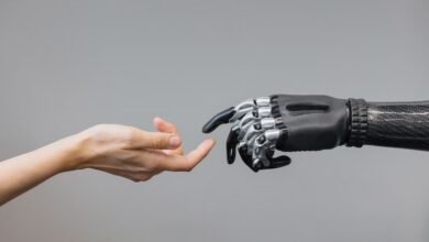 Convivendo com Robôs | Simbiose entre humanos e máquinas só aumenta