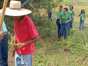 Estudantes da EE Afonso Francisco Xavier Trannin realizam projeto de preservação do Córrego do Arapuá  
