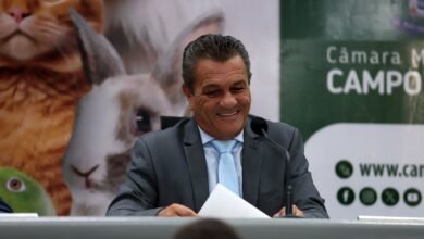 Vereador delei Pinheiro encerra ano legislativo destacando os resultados positivos