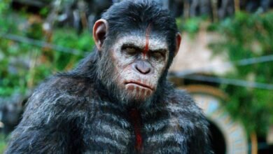 Imagem de: Planeta dos Macacos: veja ordem dos filmes e onde assistir online