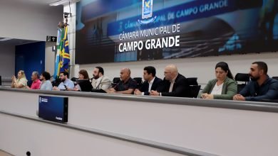 Câmara reúne autoridades e especialistas para discutir educação especial em Campo Grande