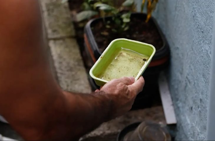 Confira dicas simples que podem livrar sua casa dos focos da dengue