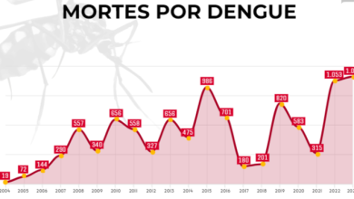Em duas décadas, Brasil teve 10 mil mortos por dengue e 16 milhões de casos prováveis da doença