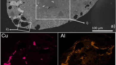 Micrometeorito encontrado na Itália contém itens “incomuns”; entenda