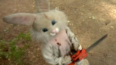 Imagem de: 6 filmes de terror bizarros com coelhinhos para assistir na Páscoa