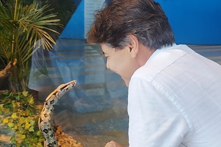 Autor de lei que proíbe animais em circos, Paulo Duarte visita jiboia resgatada