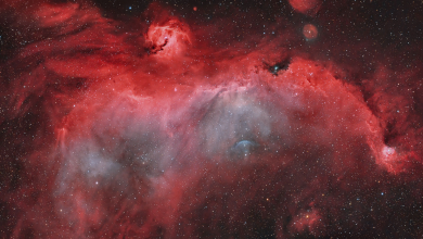 Destaque da NASA: colorida Nebulosa da Gaivota é foto astronômica do dia
