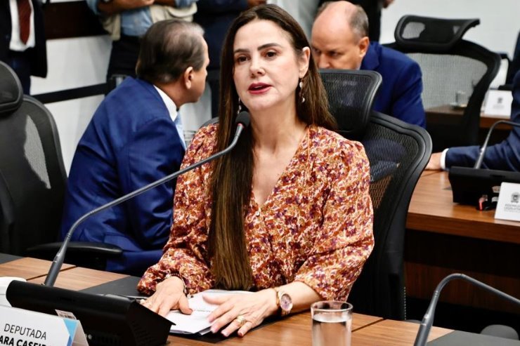 Mara Caseiro diz ser inadiável a garantia de mais segurança na BR-163