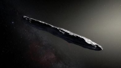 Oumuamua (Crédito: ESO/M. Kornmesser)
