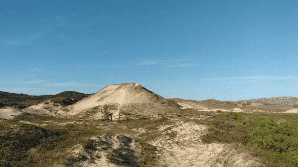 Povo perdido do Brasil não desapareceu totalmente; revelam indícios arqueológicos