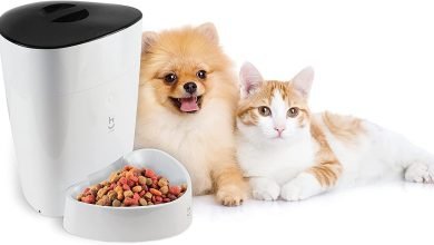 Alimentador automático smart: 6 itens que auxiliam na rotina dos pets
