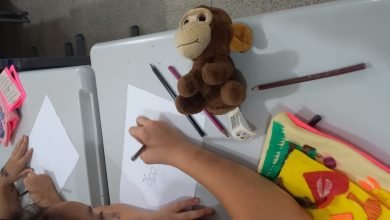 Atividades criativas celebram o Dia Nacional do Livro Infantil na EE Maria da Glória Muzzi Ferreira