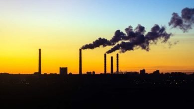 Dez empresas respondem por mais de 50% das emissões globais de CO₂; saiba quais são