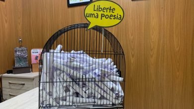 Ronilço Guerreiro convida visitantes da Câmara Municipal para “libertar uma poesia” em seu gabinete