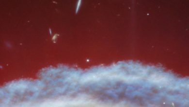 Telescópio James Webb exibe detalhes inéditos da Nebulosa Cabeça de Cavalo