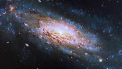 A galáxia NGC 4951 possui um centro galáctico ativo muito energético (Crédito: NASA, ESA e D. Thilker (Universidade Johns Hopkins); Processamento de imagem: Gladys Kober (NASA/Universidade Católica da América)