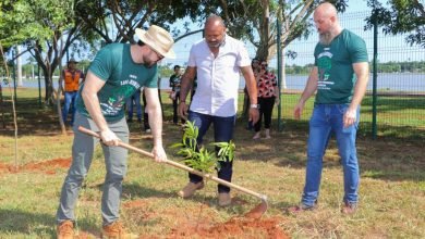 Prefeitura de Três Lagoas já plantou quase 400 árvores em 2024