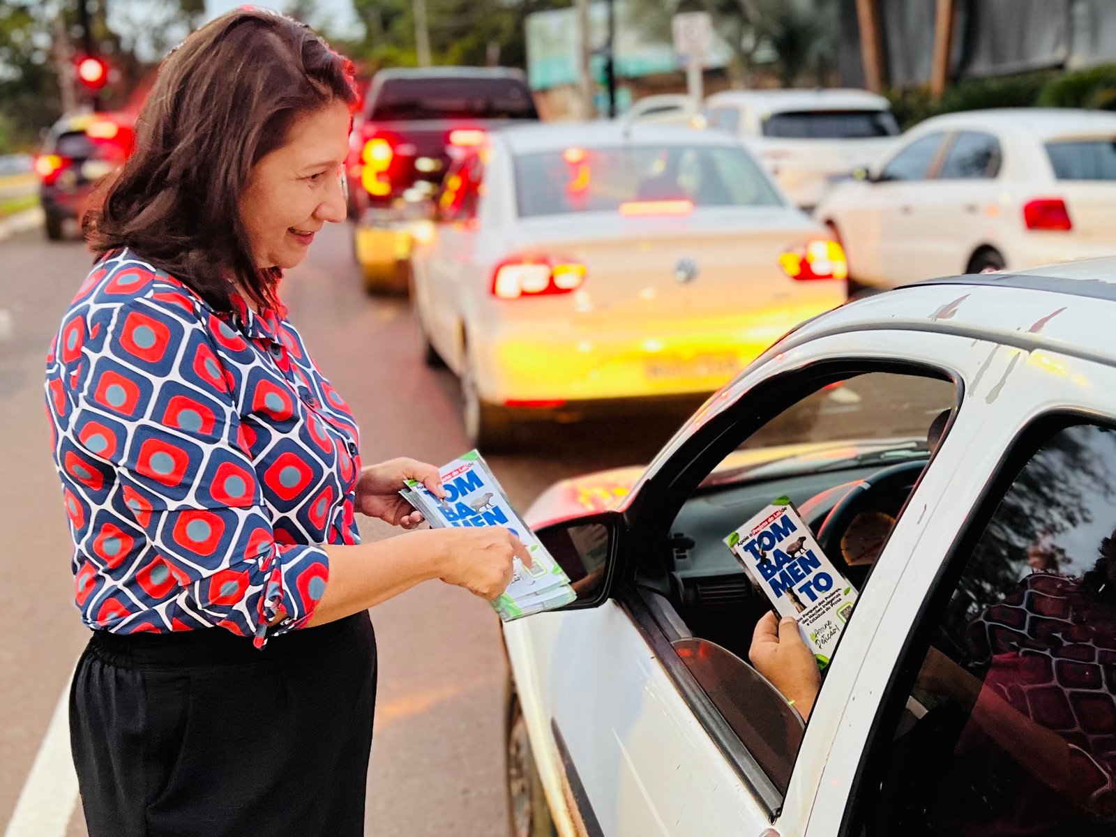 Vereadora Luiza Ribeiro celebra decisão judicial e reinicia campanha pelo Tombamento dos Parques Estadual do Prosa, das Nações Indígenas e Parque dos  Poderes