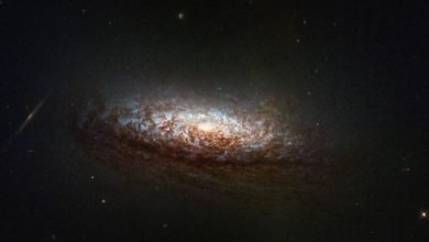 A incrível Nebulosa de Serpente e mais imagens fantásticas da NASA em junho