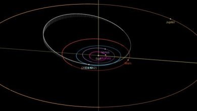 Órbita do asteróide 2024 KA2 (Crédito: JPL)