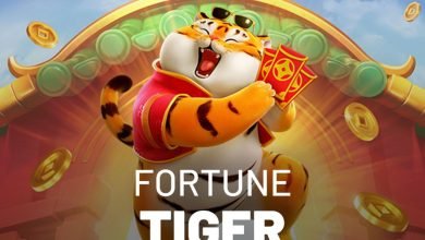 Jogo do Tigre (Fortune Tiger): entenda o que é, como jogar e riscos