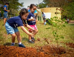 Na semana do Meio Ambiente, AGEMS realiza plantio no Arco dos Ipês e 12ª edição do Drive Thru da Reciclagem