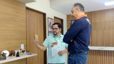 Vereador Professor André Luis cobra criação de crematório municipal para animais
