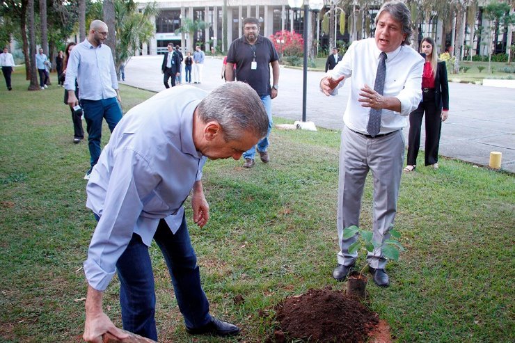 <b>Dia do Meio Ambiente</b>: Em gesto simbólico, deputados plantam mudas de ipês