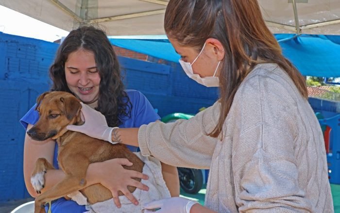 Castramóvel permanecerá no bairro Vila Haro até o dia 8 de agosto