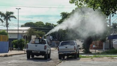Hoje serviço de Fumacê percorre três bairros da região Norte da Capital