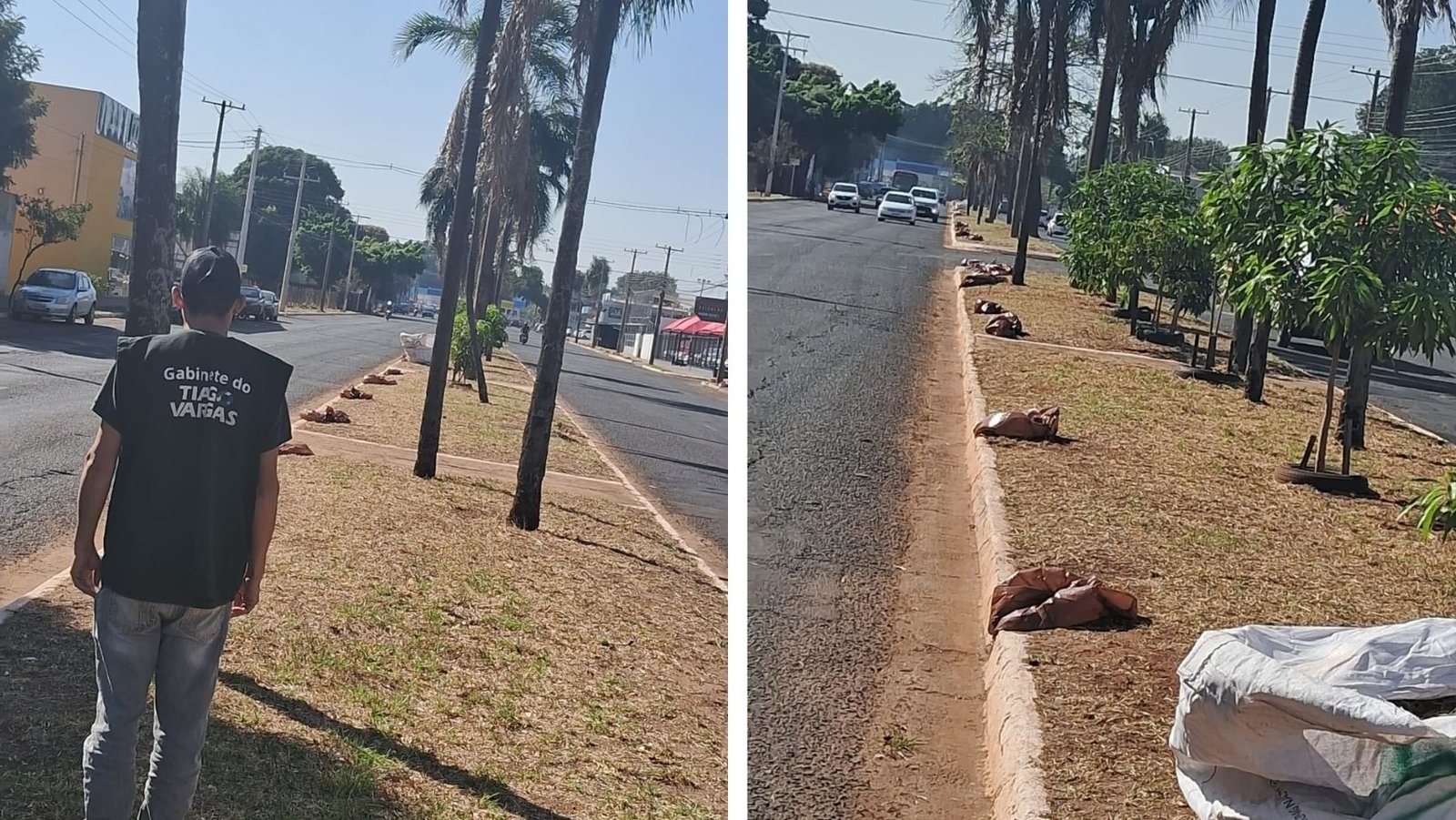 Limpeza do canteiro da avenida Manoel da Costa Lima é concluída após pedido do vereador Tiago Vargas