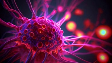 Nanorrobôs podem identificar e matar células cancerígenas, revela estudo
