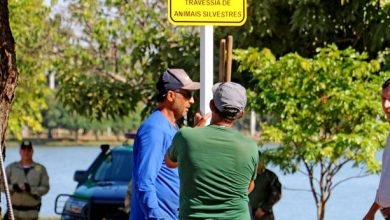 Prefeitura amplia sinalização viária e de avisos na Lagoa Maior