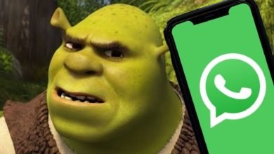 Script de Shrek no WhatsApp? Entenda trend do TikTok e saiba riscos