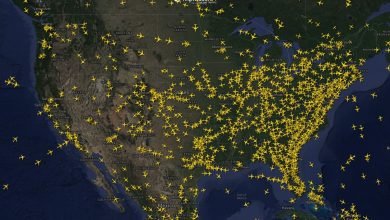Vídeo mostra caos nos voos dos EUA durante apagão cibernético; veja