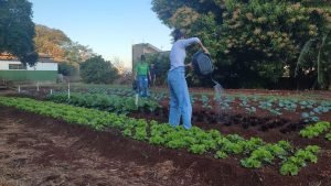 Projetos e práticas inovadoras preparam estudantes na EE Antônia da Silveira Capilé   